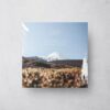 vinyl-sticker-mockup