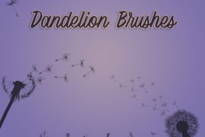 Dandelion Free Photoshop Brushes