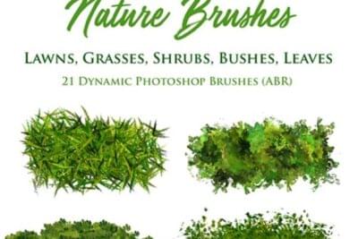 Lawn grass photoshop brushes